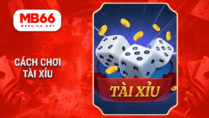 Cách chơi tài xỉu