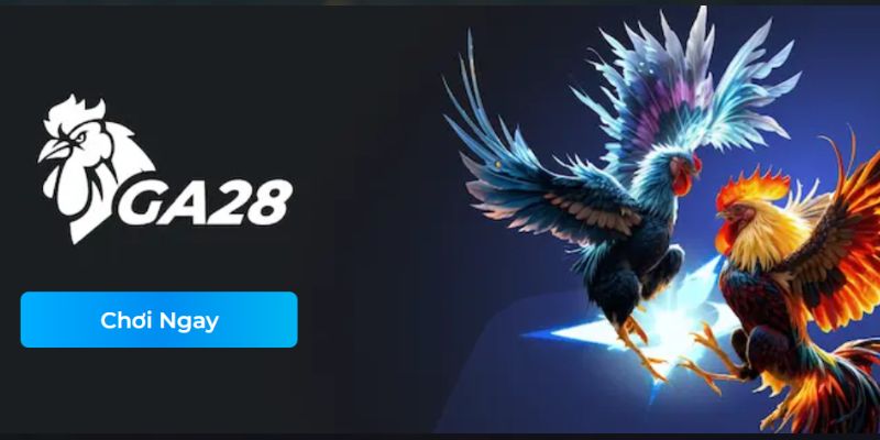Đá Gà GA28 MB66 1 Tìm hiểu thông tin về đá gà GA28 tại MB66